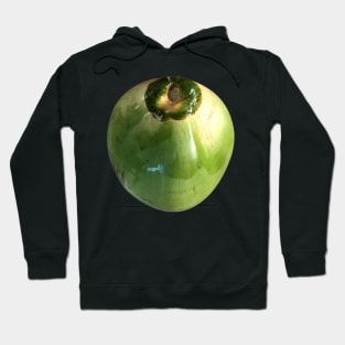 isolated COCONUT Hoodie